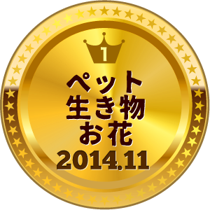 いいねランキング ペット・お花 1位