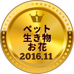 いいねランキング ペット・お花 1位