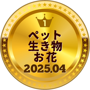 いいねランキング 写真 1位