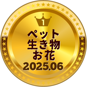 いいねランキング 写真 1位