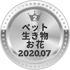 いいねランキング 写真 2位