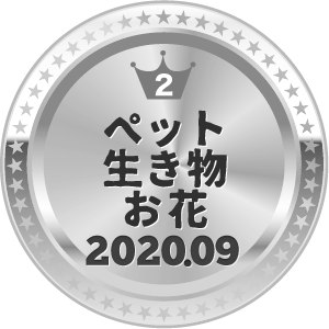 いいねランキング 写真 2位
