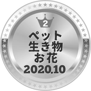 いいねランキング 写真 2位
