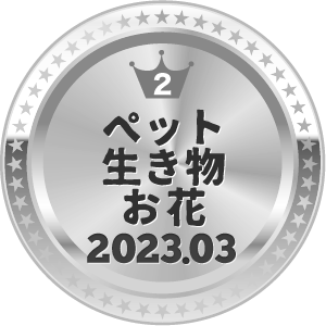 いいねランキング 写真 2位