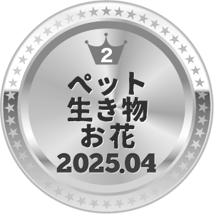いいねランキング 写真 2位