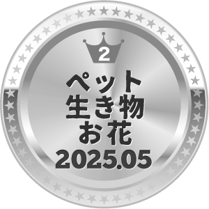 いいねランキング 写真 2位