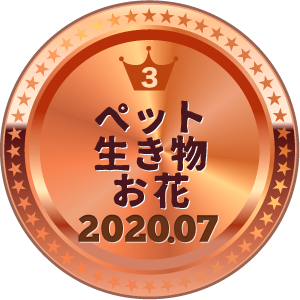 いいねランキング 写真 3位