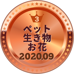 いいねランキング 写真 3位