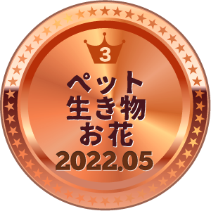 いいねランキング 写真 3位