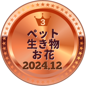 いいねランキング 写真 3位