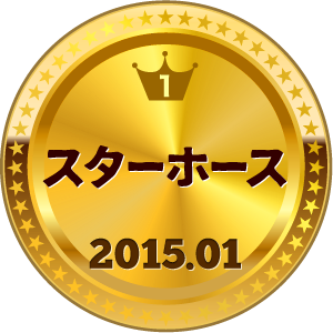 いいねランキング スターホース 1位