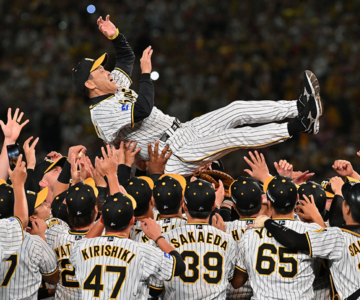 今年もアレ タイガース Congratulations to the Hanshin Tigers on their victory
