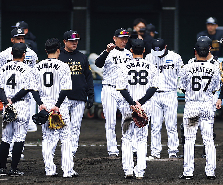 阪神はほぼレギュラーが固定された中で、遊撃と左翼の争いがキャンプの見どころだ