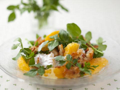 ��ͽ�������