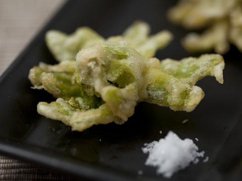 �դ��ΤȤ���ŷ�פ�