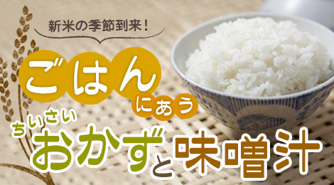 ���Ƥε������衪���Ӥˤ�����������������̣����