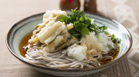 初夏のうどんと蕎麦