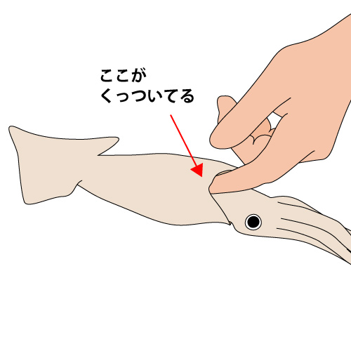 ����ڤ���ˤ����֤���ƹ�˻ؤ�����Ƥ��äĤ��Ƥ����������ʬ��ƹ�˱褦�褦�ˤ��ƻؤ��������ޤ���