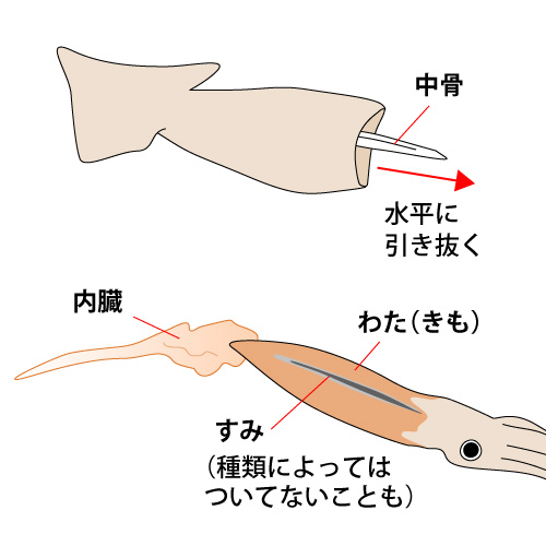 ƹ����˼������������ĤäƤ���勵���ߤ��Ф����������롣���ޤ������Фޤ뤴�Ȥ��ݤäȼ��ޤ��衣