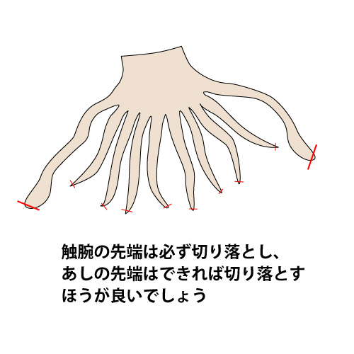 �����Ϥ�������ڤꡢ���פ����ˤʤ�п������κݤˤ���������Ȥ����嵤���ڤäƤ��鿩�٤䤹���ܿ����ڤ�ʬ���ޤ���