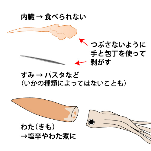 �ܤξ���ڤ�Υ���ޤ������ߤ���¡���ˤ�ʤ��褦�˼��������ȤäƤϤ����ޤ�����¡�Ͽ��٤��ʤ��ΤǼΤƤޤ��礦��