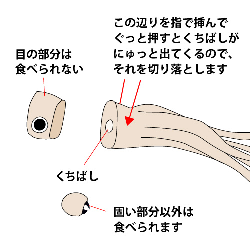 �ܤβ���������������ڤ���Ȥ����������դ����ˤ��뤯���Ф���ؤǲ����Ф����ڤ���Ȥ��ޤ����ܤ���ʬ�Ͽ��٤��ޤ���