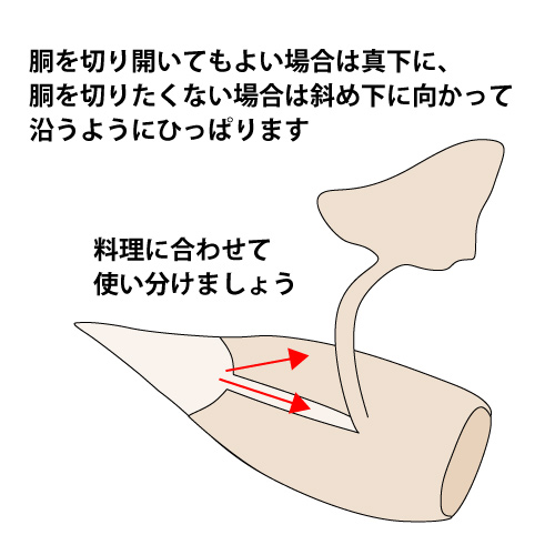 ƹ�Τ򲡤����ʤ��館��ڤ��­�������ˤफ�ä��餴���������ޤ��������ˤҤ���ƹ���ڤ�뤳�Ȥ�����Τǡ��������������������λ��ϼФ᲼�˱褦�褦����������ޤ���