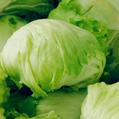 ��ƤߤƤ���������