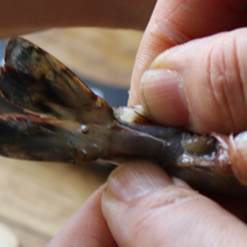 ������ή����