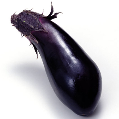 ��̱�ˤȤä��������ڡ���