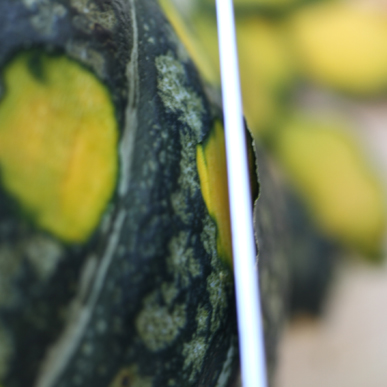 ���Τˤޤ������ͤˤ�����Ȥ����Ȥǡ�̣�����ߤ䤹�������줷�ˤ����ʤ롣