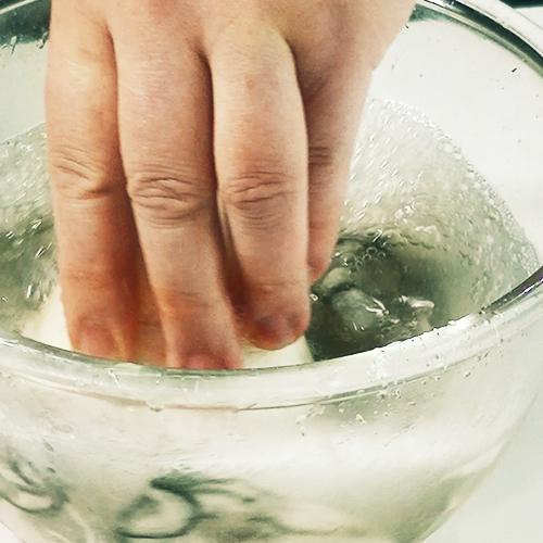 ����������ͥ�����󤷤ޤ�