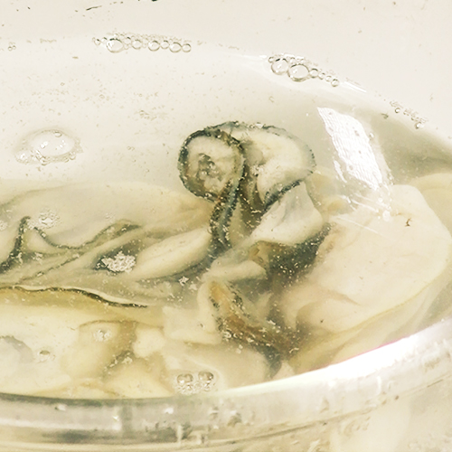 ���夬���줤�ˤʤä��鴰λ�Ǥ�