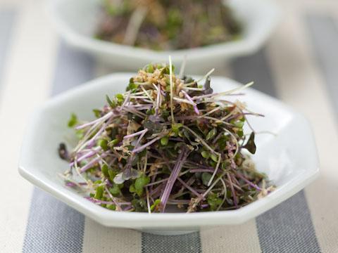 ���ץ饦�ȤΤ��ޤ����¤�