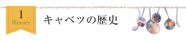 キャベツ Katsuyoレシピ カツ代の家庭料理