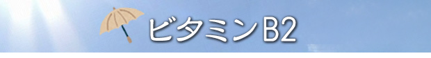 �ӥ��ߥ�B2