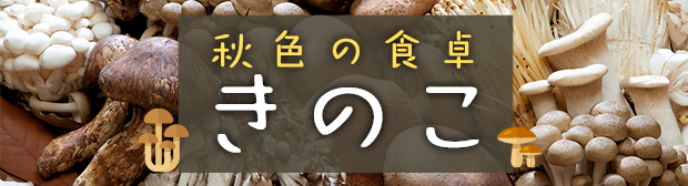 ֤ΤդǤ뤪