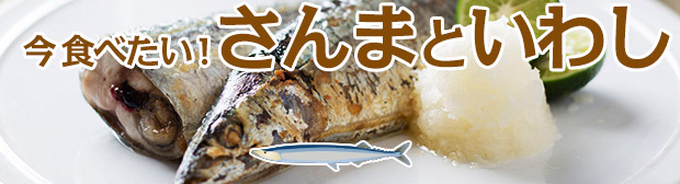 �����٤���������ޤȤ��路