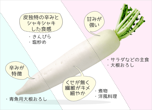�纬�μ�갷����