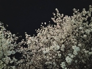 ���䤨