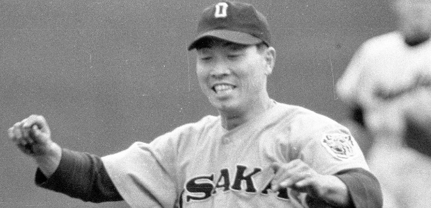 �ĵܸ���Ϻ  �����