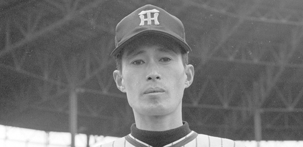 ��ƣ����  ���