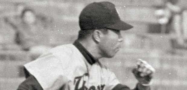 ���ʾ���  �����