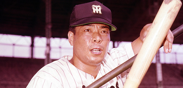 ƣ�ܾ�̦  �����