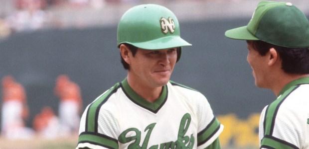 �견�ҽ�  �����