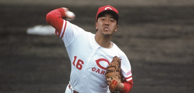 Ĺ�ڹ���  ���