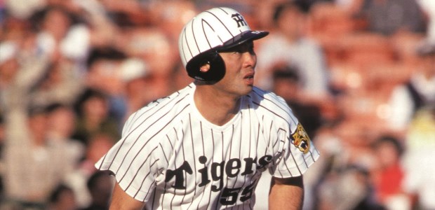 ��˭�پ�  �����