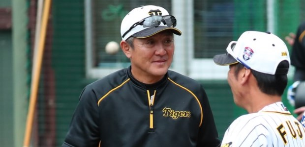 �������  �����