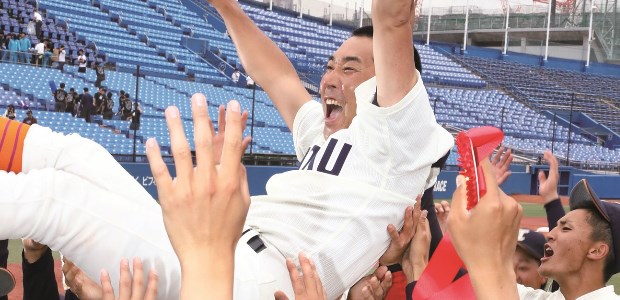 ���͸���  �����