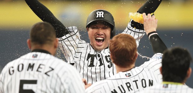 関本賢太郎  内野手